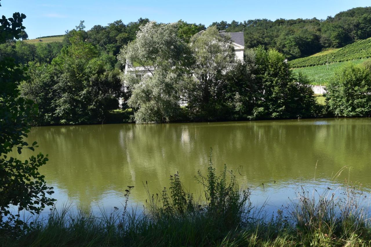 Chateau Roquehort Avec Ev Recharge Point 22Kw Monein Екстериор снимка